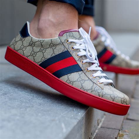 gucci ace gg sneaker.